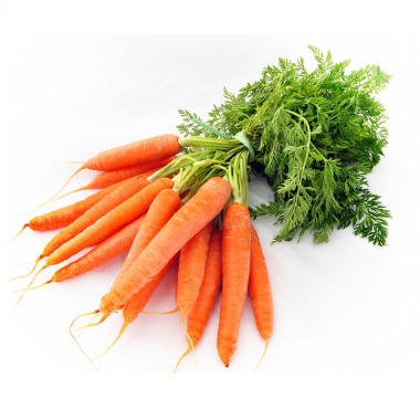 其色澤氣味呈淡黃色液體，帶有苦澀而獨特的草本香氣；胡蘿蔔的用途非常廣泛，單一株胡蘿蔔就可萃取出2種不同的精油。一為胡蘿蔔籽精油(Carrot Seed)、二為胡蘿蔔葉精油(Carrot Leaf)。此外，它的肉質根部即可做植物浸泡油的主原料，也是最普遍的蔬菜。